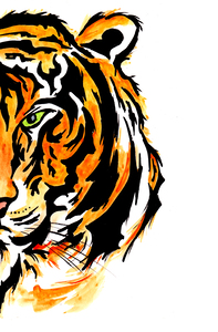 Tiger Half Face