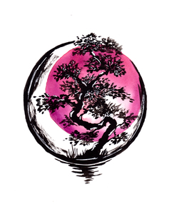 Bonsai Tree Red Sun Circle