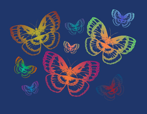 Colorful Butterflies Blue