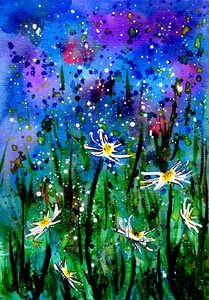 Daisy Field at Night