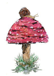 Fly Agaric Toadstool and Snail