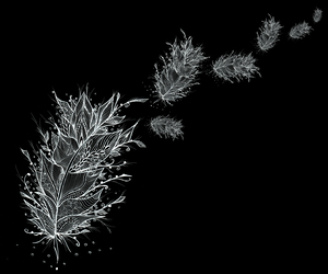 Flying Feathers