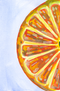 Orange Fruit Slice