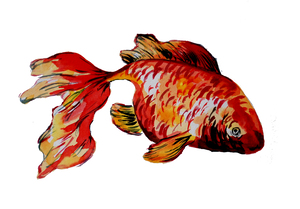 Red Goldfish