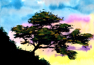 Summer Tree Hill