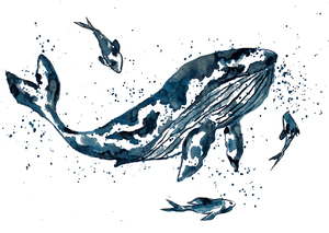 Whale in Blue