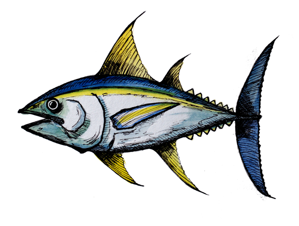 Big Tuna Fish by Sebastian Grafmann