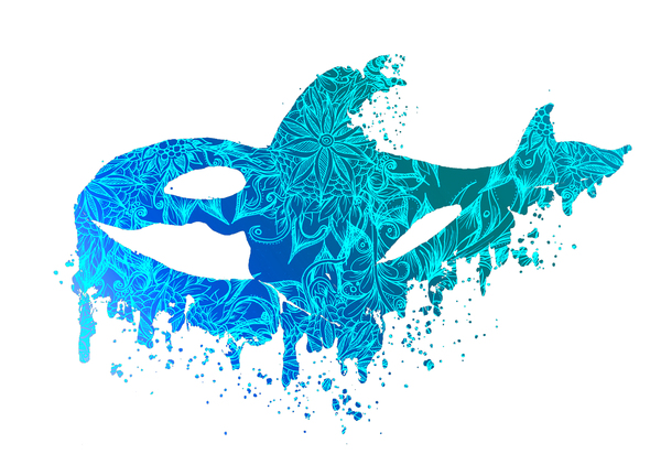 Blue Floral Orca Whale by Sebastian Grafmann