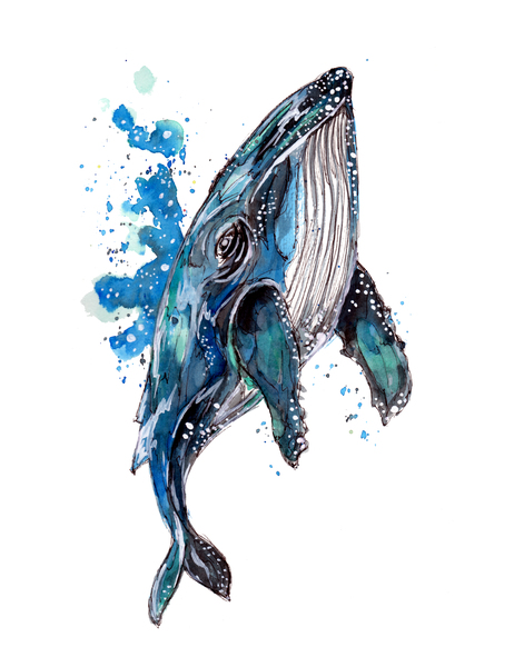 Blue Humpback Whale Print