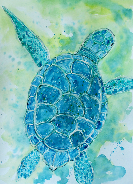 Blue Sea Turtle Print