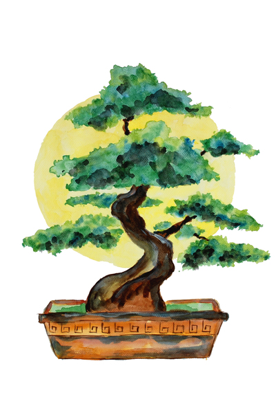 Bonsai Tree and Sunshine by Sebastian Grafmann