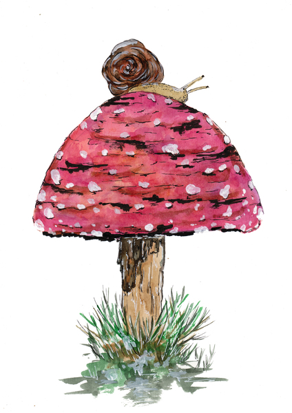 Fly Agaric Toadstool and Snail by Sebastian Grafmann
