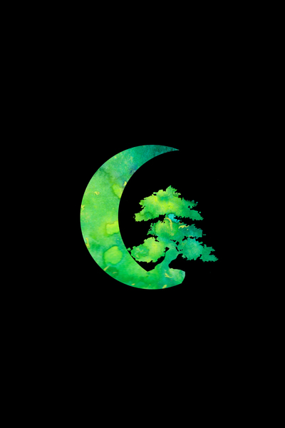 Green Crescent Moon Bonsai Tree by Sebastian Grafmann