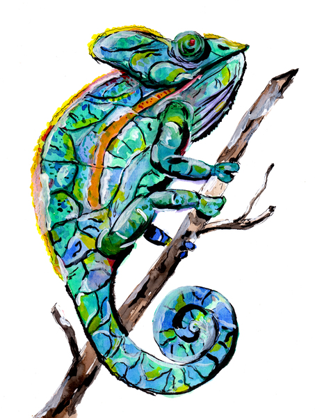 Magic Chameleon Print