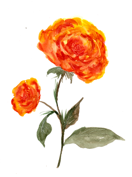 Orange Roses Print