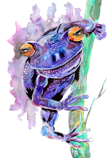 Purple Frog Print
