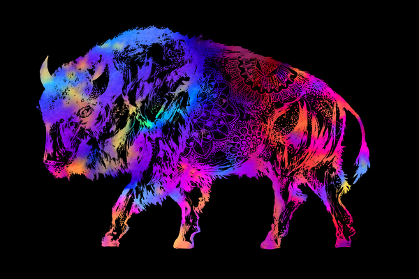 Rainbow Buffalo Print
