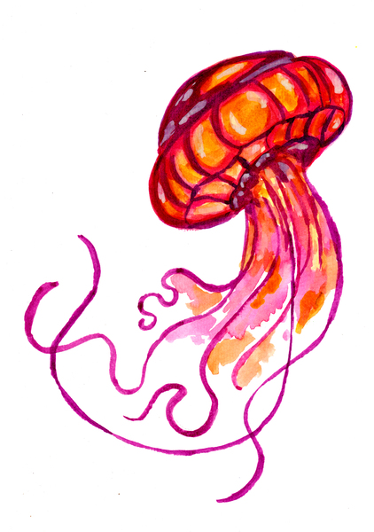 Red Jellyfish Print