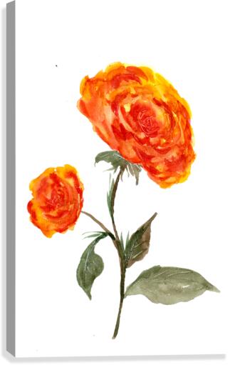 Orange Roses Canvas Print