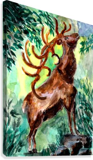 Old Stag Calling Canvas Print