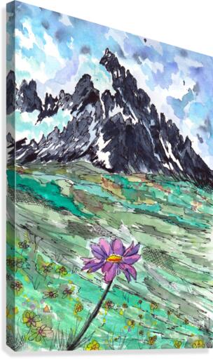Mountain Flower Canvas Print