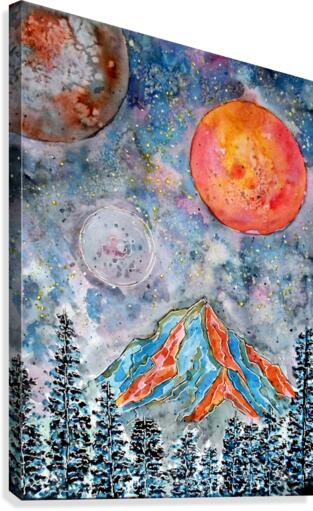 Starry Cold Night Canvas Print