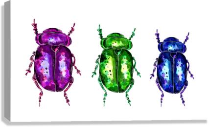Three colorful Bugs Canvas Print