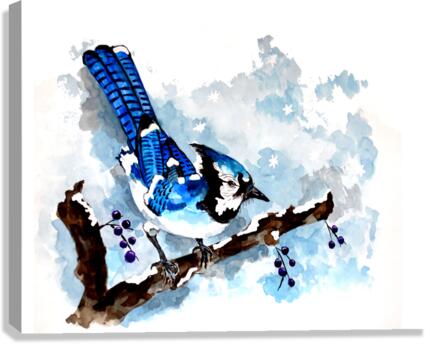 Blue Jay Winter Canvas Print