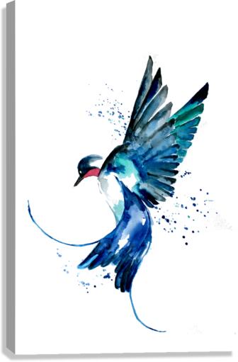 Blue Swallow Canvas Print