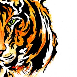 Tiger Half Face