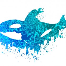 Blue Floral Orca Whale