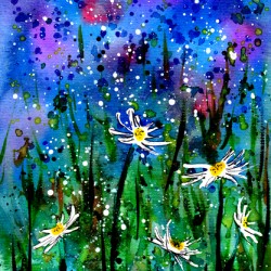 Daisy Field at Night