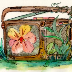 Flower Radio