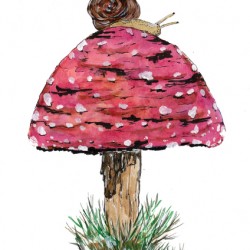 Fly Agaric Toadstool and Snail