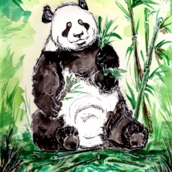 Hungry Big Panda