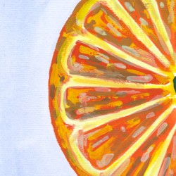 Orange Fruit Slice