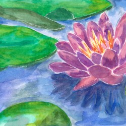 Purple Lotus Flower