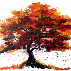 Red Autumn Tree