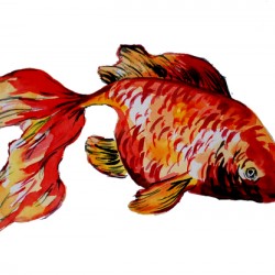 Red Goldfish
