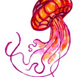 Red Jellyfish