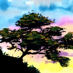 Summer Tree Hill