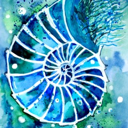Turquoise Nautilus