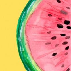 Watermelon Fruit Slice