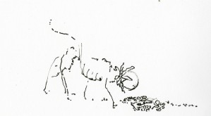 Introspection