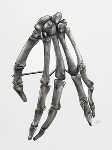Bony Hand 