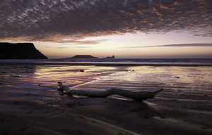 Driftwood on Rhossili Bay