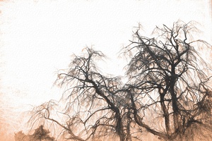 winter tree no 1