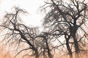 winter tree no 2