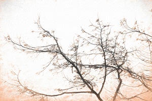 winter tree no 4