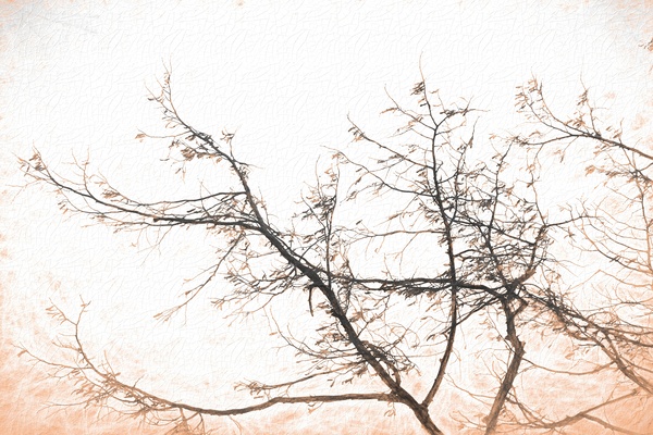 winter tree no 4 Print
